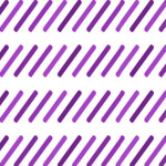 II Colóquio Desenhando vidas com o Design